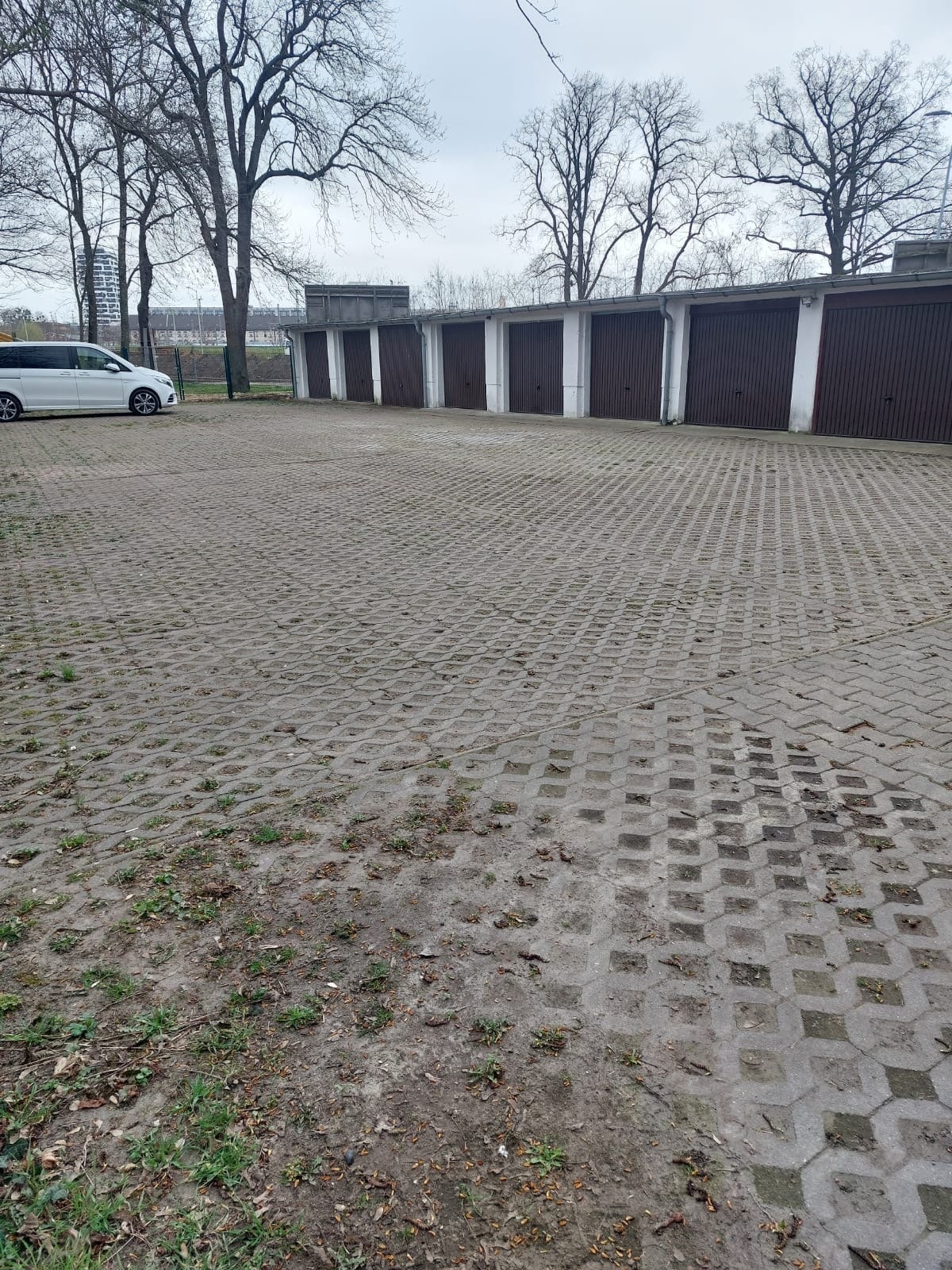 Repräsentative Büro- / Praxisfläche in stilvoller Stadtvilla – Editharing, Magdeburg-Stadtfeld Ost